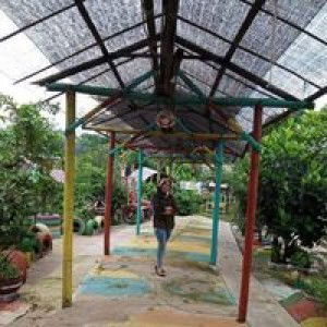 Momy Ranu profile icon