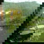 Marni My'sun profile icon