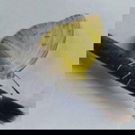 Jerick Manalon profile icon