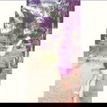 Thanyaporn Kitiko profile icon