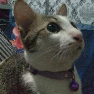 Via Okta profile icon