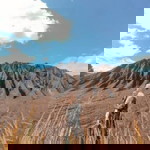 Anita Sari profile icon