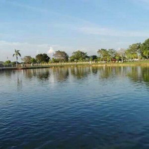 Nur Syamim profile icon