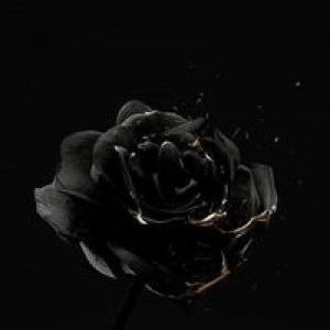 Phẩm Nguyễn profile icon