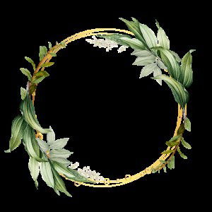 rachelisilaban profile icon