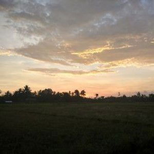 Fitri Ayu Lestari profile icon