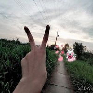 Bé's Su's profile icon