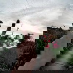 Bé's Su's profile icon