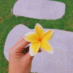 ariana 23 profile icon