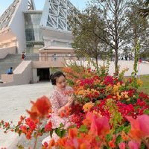 Phương Phương profile icon