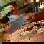 ตาล ปาลม์ ปลาสด profile icon