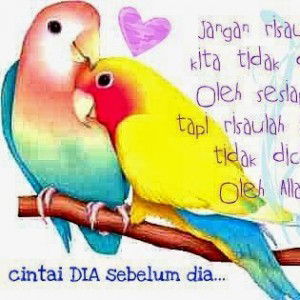 rima dwi saputri profile icon