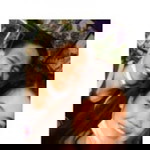 Janina May Manalastas profile icon