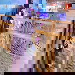 Tutiek Halimahtusadiah profile icon