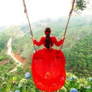 Tomomi Hoang profile icon