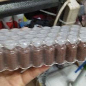 Bernike Sumarmi Gunawijaya profile icon