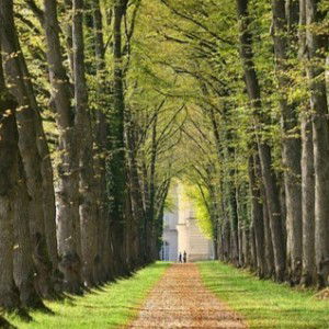 Maya nurmayanti profile icon