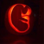 Evangeline Campil profile icon