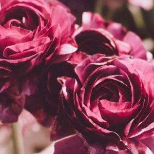 Ruziasmawa Bt Jumri profile icon