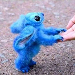 Rani Yuniar profile icon