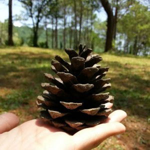 Ponwipa Boonmason profile icon