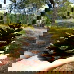 Ponwipa Boonmason profile icon