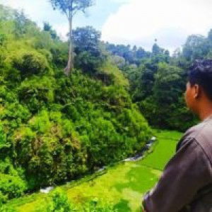 Ibnu Nur Holis profile icon