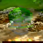 Janice Lillian Linnis profile icon