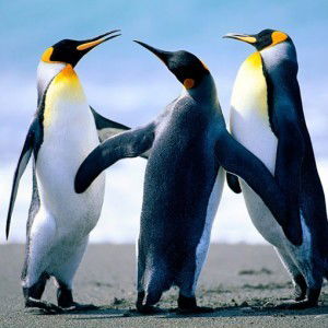 Feby Erika profile icon