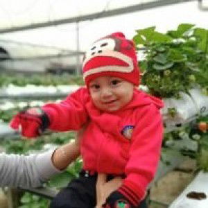 Nor Azira Hj Md Isa profile icon