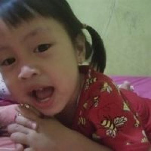 Selviah Alfaiza Nhiiez profile icon