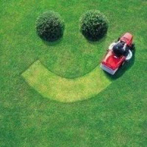 Yanna H. Najib profile icon