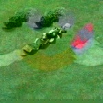 Yanna H. Najib profile icon