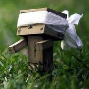 Luthfia Ummu Syafiq profile icon