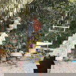 จารุมน บัวรักษ์ profile icon