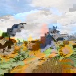 Sudarat Sookgrachorn profile icon