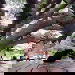 Saila Imsopon profile icon