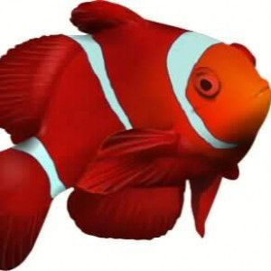 Rima Mukhtar profile icon