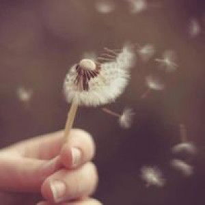 Rahmawati Azzahra profile icon