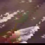 Rahmawati Azzahra profile icon