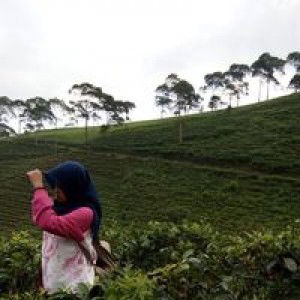 Dyna Setyaningzih profile icon