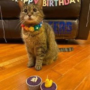 Anis Siti R profile icon