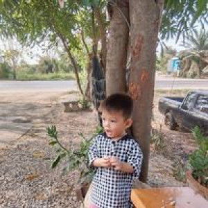 Mild Minik profile icon