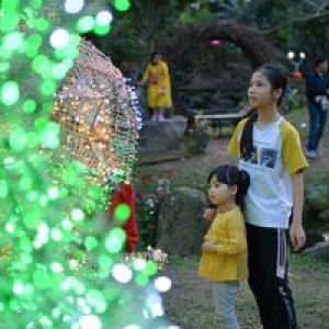 An Nhiên Nguyên profile icon