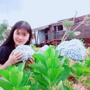 Yến Ly profile icon