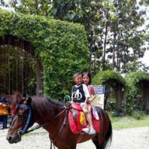 Anik Wahyuni profile icon