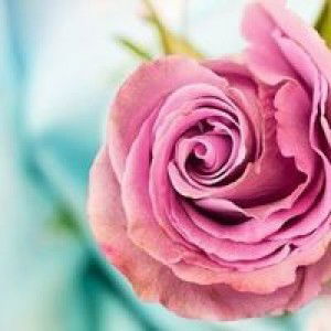 Nirwana Mamonto profile icon