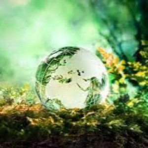 Evi Mashunah profile icon