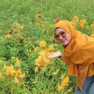 Sulistya Usman profile icon