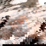 cynthia aguilar profile icon